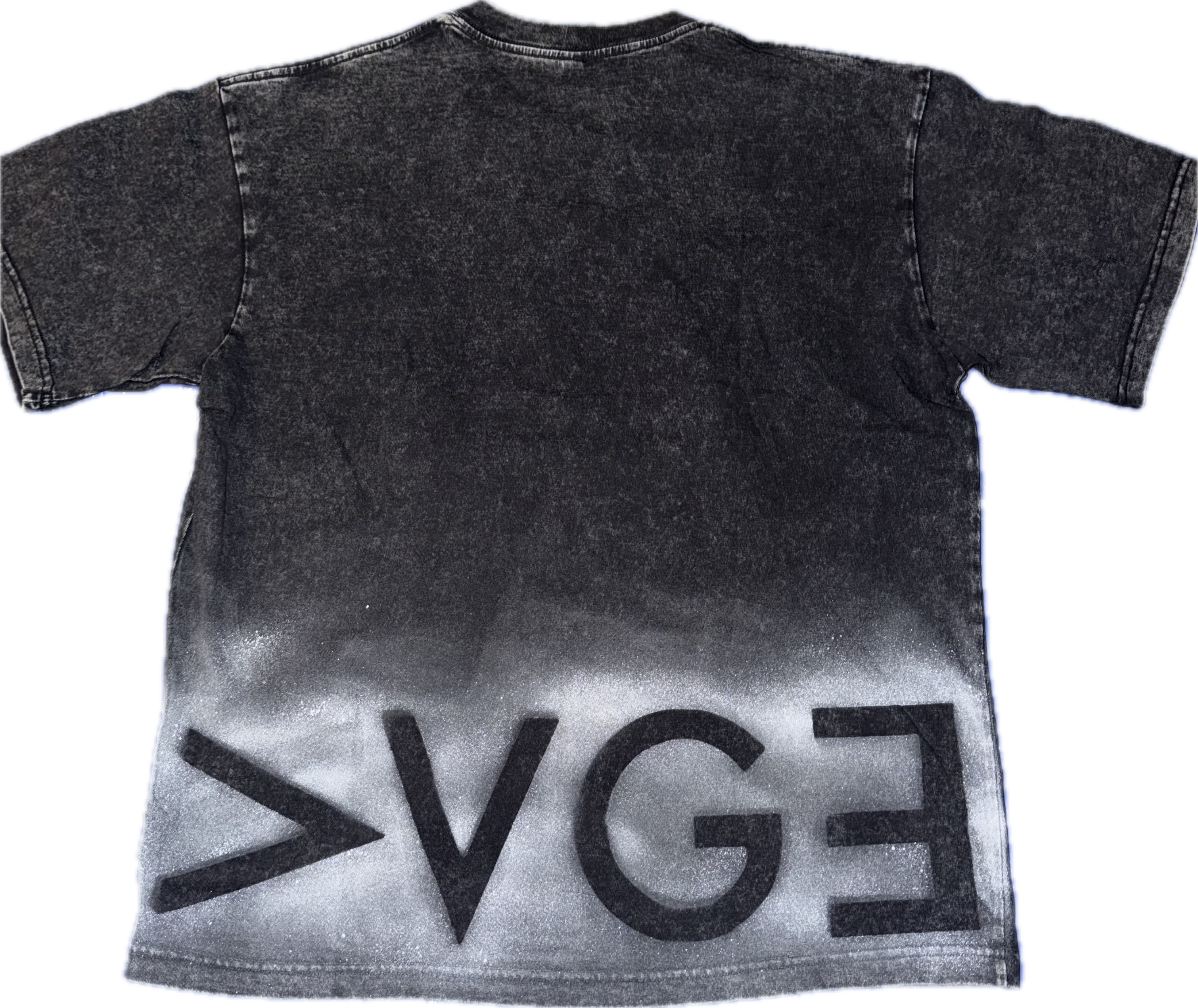 Lg Short sleeve t-shirt